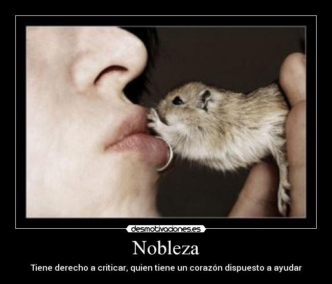 Nobleza - Tiene derecho a criticar, quien tiene un corazón dispuesto a ayudar