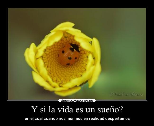 Y si la vida es un sueño? - 