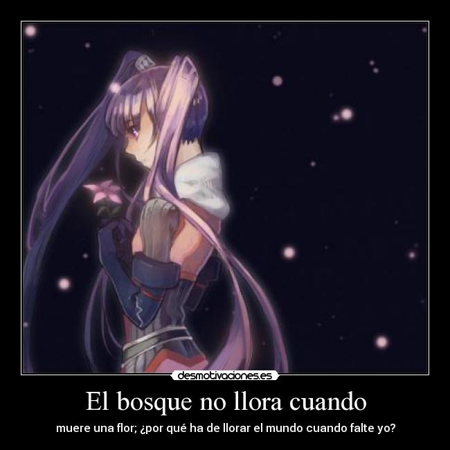 carteles tales graces talesof sophie harukaze desmotivaciones