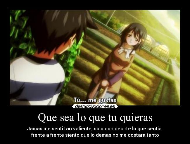 Que sea lo que tu quieras - 