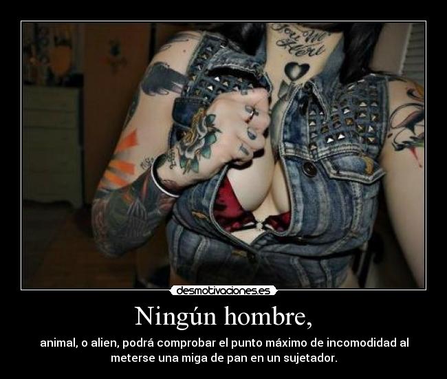 Ningún hombre, - animal, o alien, podrá comprobar el punto máximo de incomodidad al
meterse una miga de pan en un sujetador.