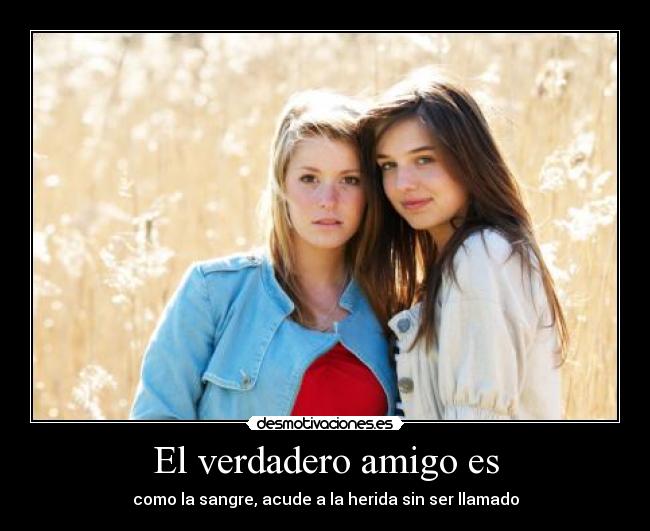 El verdadero amigo es - como la sangre, acude a la herida sin ser llamado