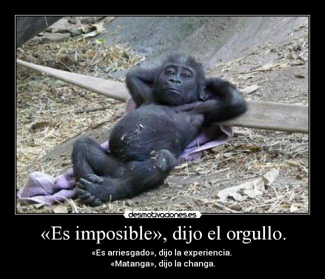 «Es imposible», dijo el orgullo. -