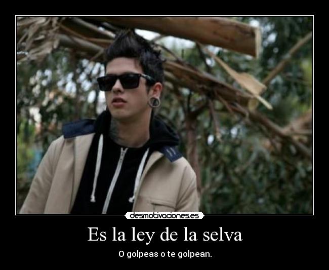 Es la ley de la selva - O golpeas o te golpean.