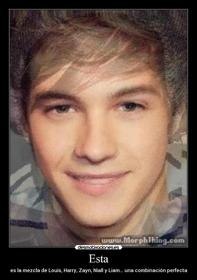 Esta - es la mezcla de Louis, Harry, Zayn, Niall y Liam... una combinación perfecta