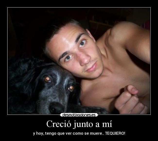 Creció junto a mí - y hoy, tengo que ver como se muere.. TEQUIERO!