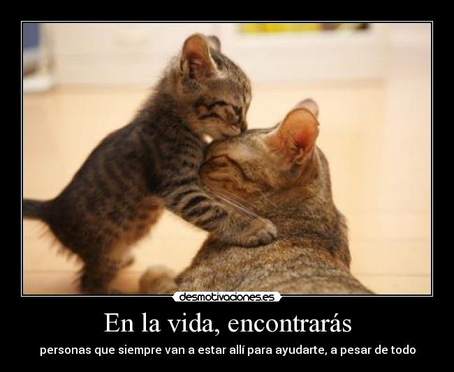 En la vida, encontrarás -