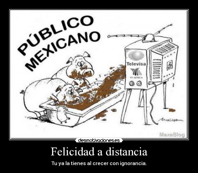 Felicidad a distancia -