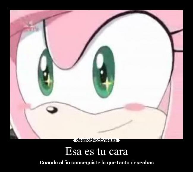 Esa es tu cara - Cuando al fin conseguiste lo que tanto deseabas