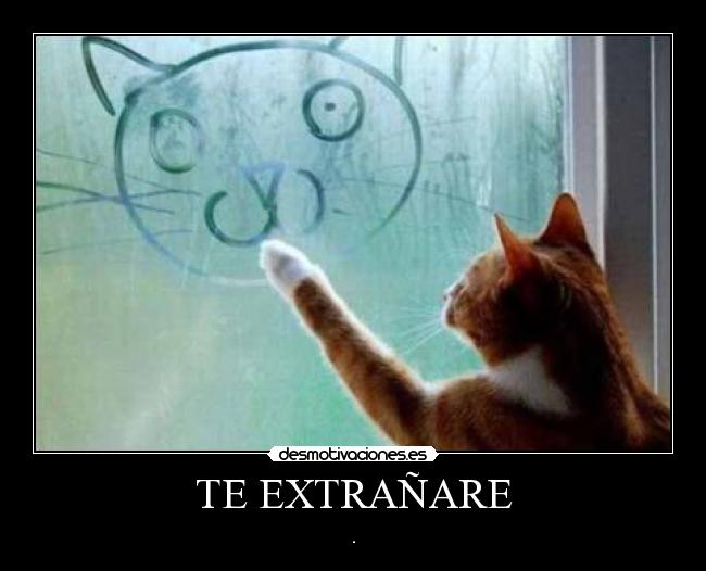 TE EXTRAÑARE -