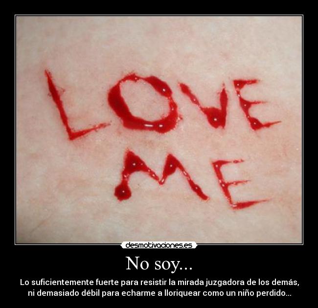 No soy... - Lo suficientemente fuerte para resistir la mirada juzgadora de los demás,
ni demasiado débil para echarme a lloriquear como un niño perdido...