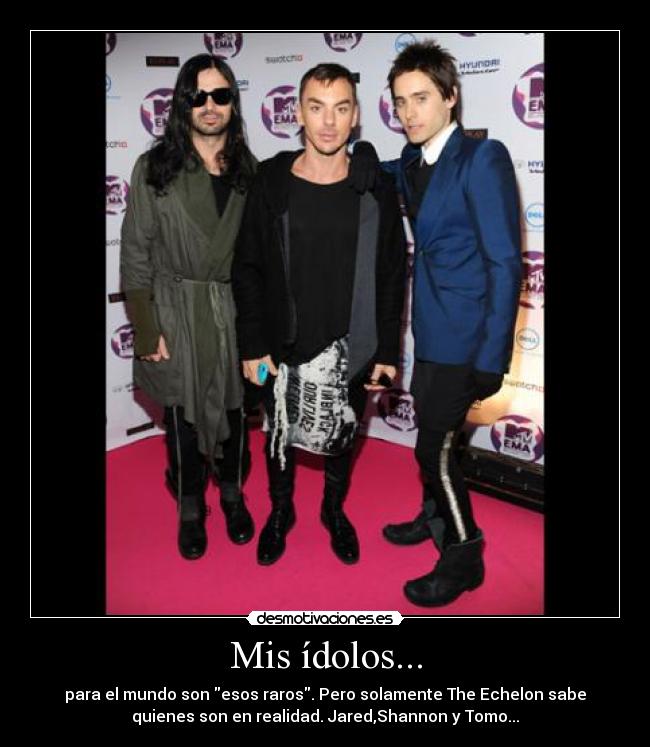 Mis ídolos... - para el mundo son esos raros. Pero solamente The Echelon sabe
quienes son en realidad. Jared,Shannon y Tomo...