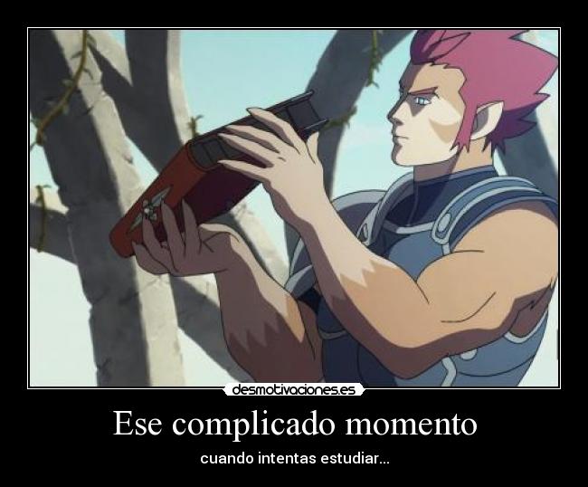 carteles anime thunder cats lion study nigatsu desmotivaciones