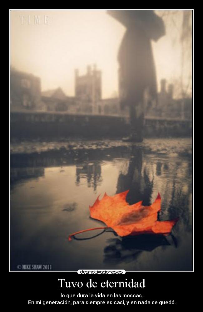 Tuvo de eternidad - 