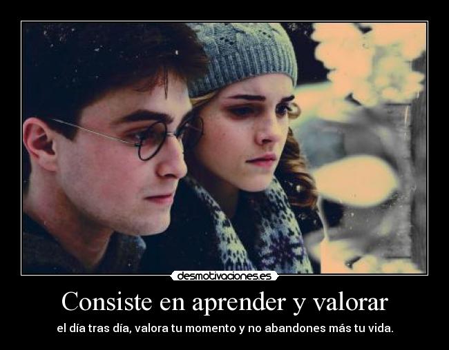 Consiste en aprender y valorar -
