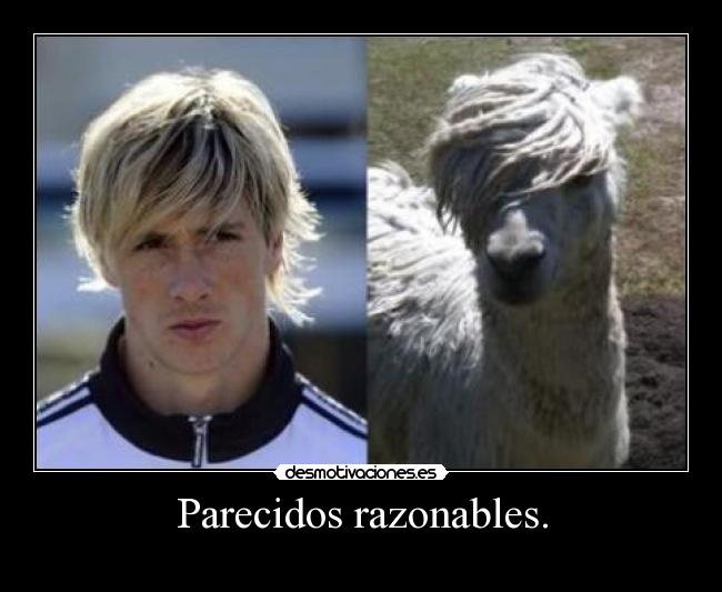 carteles zai lol que llama mas chula pero torres esta mejor jew clanpitufo intruders resubido desmotivaciones