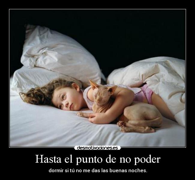 carteles makasister bienvenido republica independiente mundo desmotivaciones