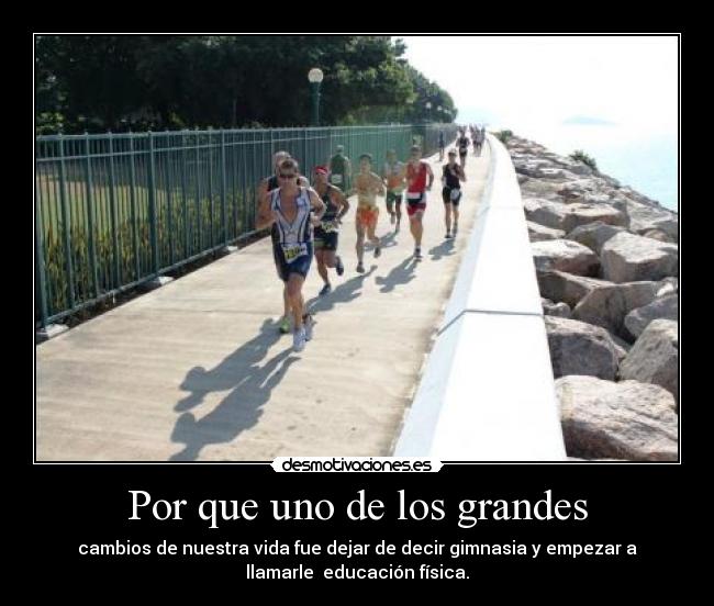 Por que uno de los grandes - cambios de nuestra vida fue dejar de decir gimnasia y empezar a
llamarle educación física.