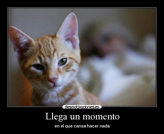 Llega un momento - en el que cansa hacer nada