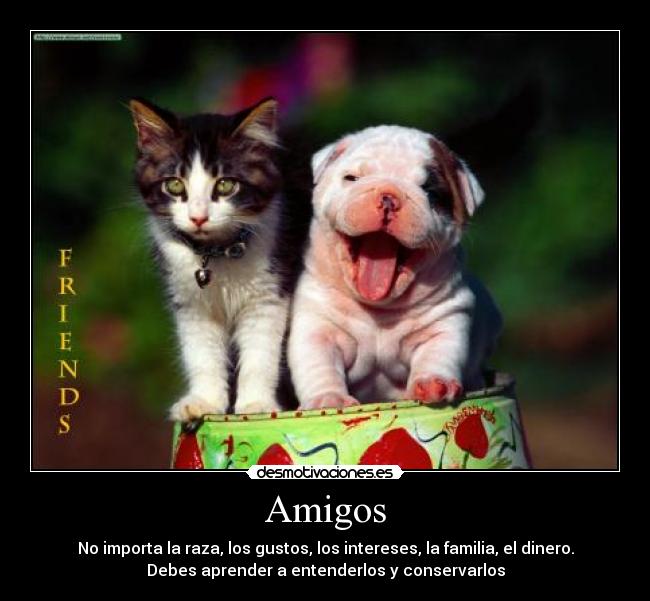 Amigos - No importa la raza, los gustos, los intereses, la familia, el dinero.
Debes aprender a entenderlos y conservarlos