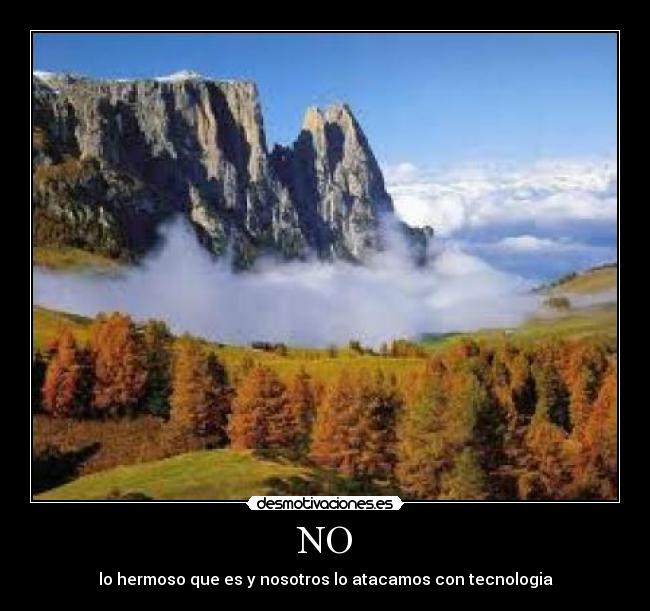NO - lo hermoso que es y nosotros lo atacamos con tecnologia
