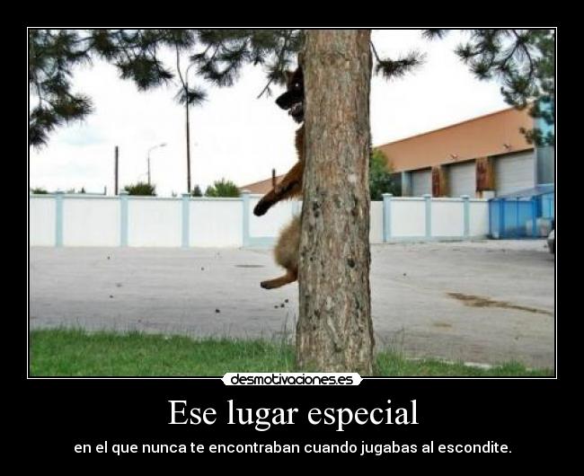 Ese lugar especial - 