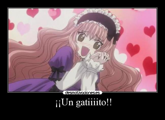 ¡¡Un gatiiiito!! - 