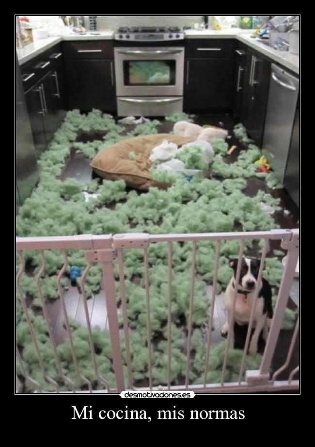 Mi cocina, mis normas -