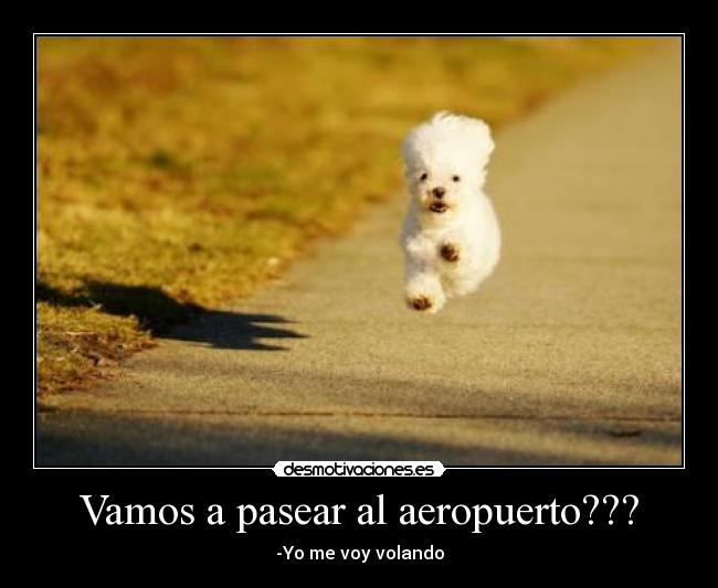 Vamos a pasear al aeropuerto??? - -Yo me voy volando