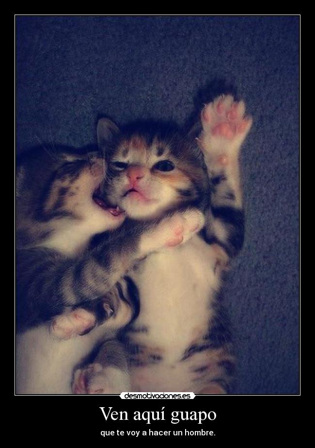 Ven aquí guapo - que te voy a hacer un hombre.