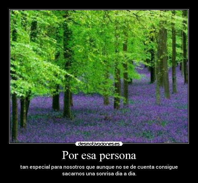 carteles esa persona tan especial todo desmotivaciones