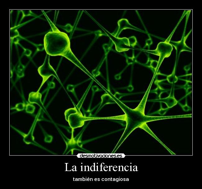 carteles valores gente que valora miau desmotivaciones