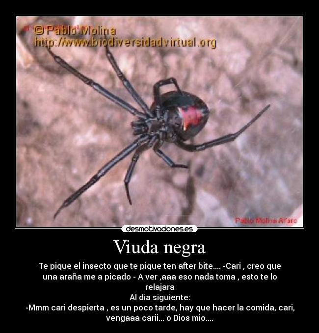 Viuda negra - Te pique el insecto que te pique ten after bite.... -Cari , creo que
una araña me a picado - A ver ,aaa eso nada toma , esto te lo
relajara
Al dia siguiente:
-Mmm cari despierta , es un poco tarde, hay que hacer la comida, cari,
vengaaa carii... o Dios mio....