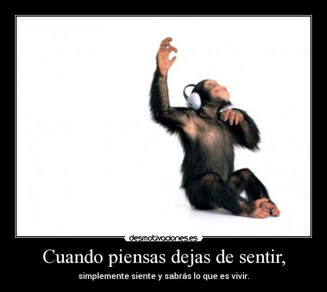 Cuando piensas dejas de sentir, -