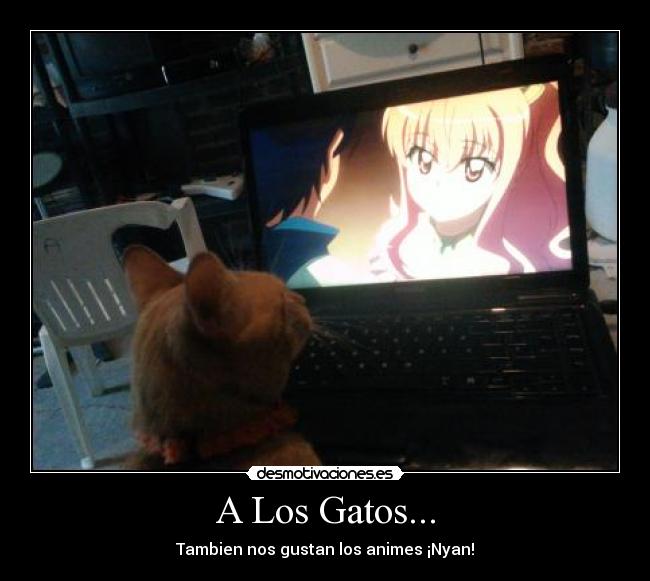 carteles gatos neko gato anime zero tsukaima desmotivaciones