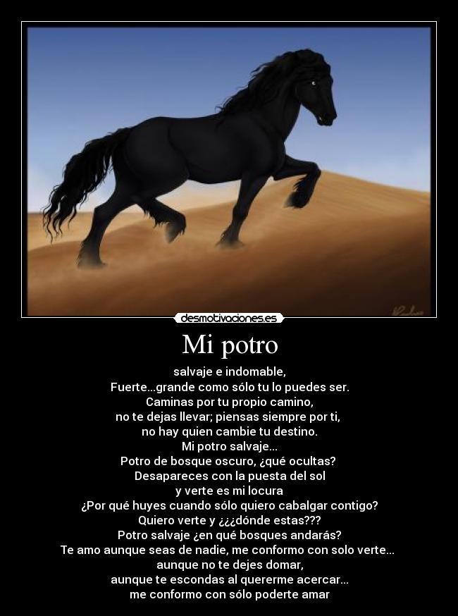 Mi potro - salvaje e indomable,
Fuerte...grande como sólo tu lo puedes ser.
Caminas por tu propio camino,
no te dejas llevar; piensas siempre por ti, 
no hay quien cambie tu destino.
Mi potro salvaje...
Potro de bosque oscuro, ¿qué ocultas? 
Desapareces con la puesta del sol
y verte es mi locura
¿Por qué huyes cuando sólo quiero cabalgar contigo?
Quiero verte y ¿¿¿dónde estas???
Potro salvaje ¿en qué bosques andarás?
Te amo aunque seas de nadie, me conformo con solo verte... 
aunque no te dejes domar,
aunque te escondas al quererme acercar...
me conformo con sólo poderte amar