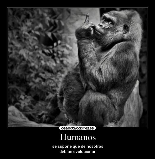 Humanos - se supone que de nosotros
debían evolucionar!