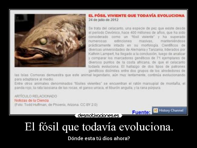 El fósil que todavía evoluciona. - 