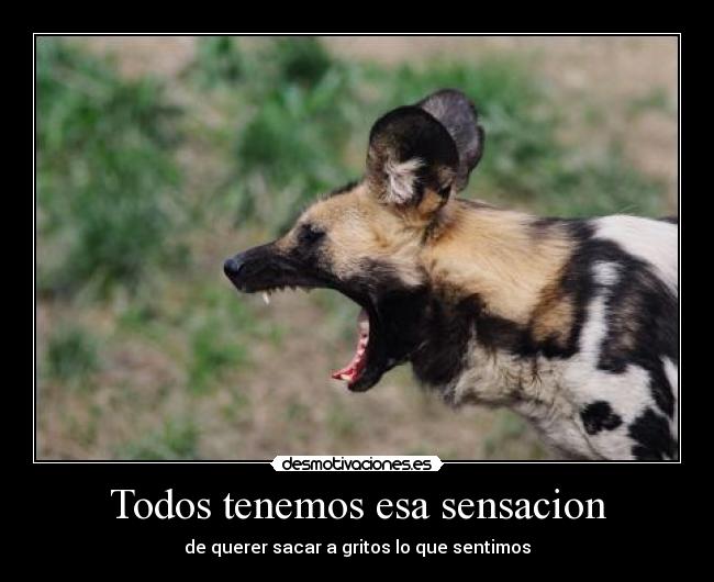 Todos tenemos esa sensacion - de querer sacar a gritos lo que sentimos