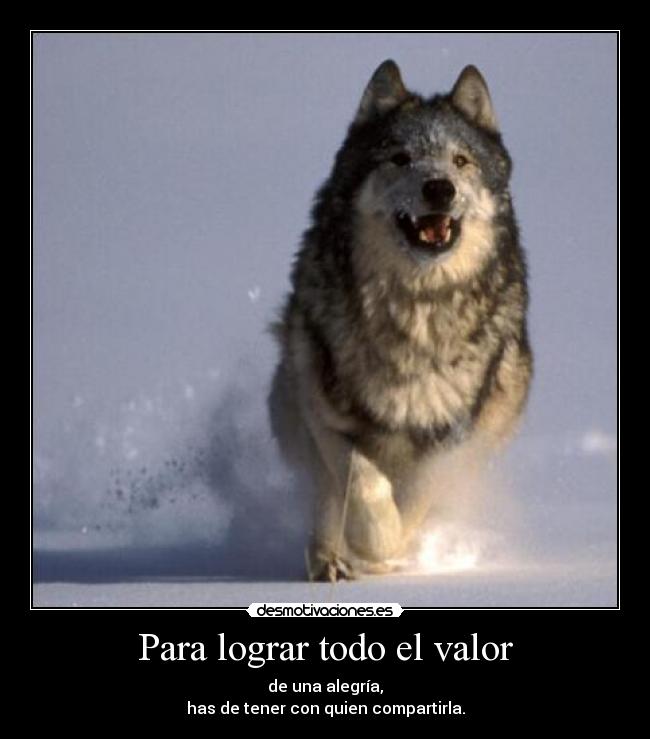 Para lograr todo el valor - de una alegría,
has de tener con quien compartirla.