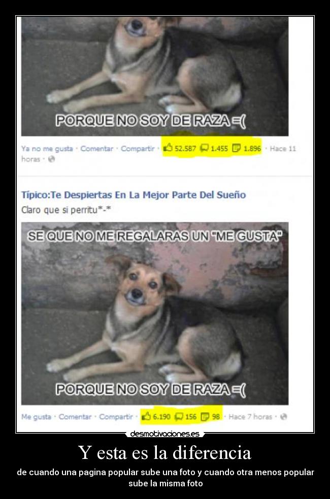 Y esta es la diferencia - de cuando una pagina popular sube una foto y cuando otra menos popular
sube la misma foto