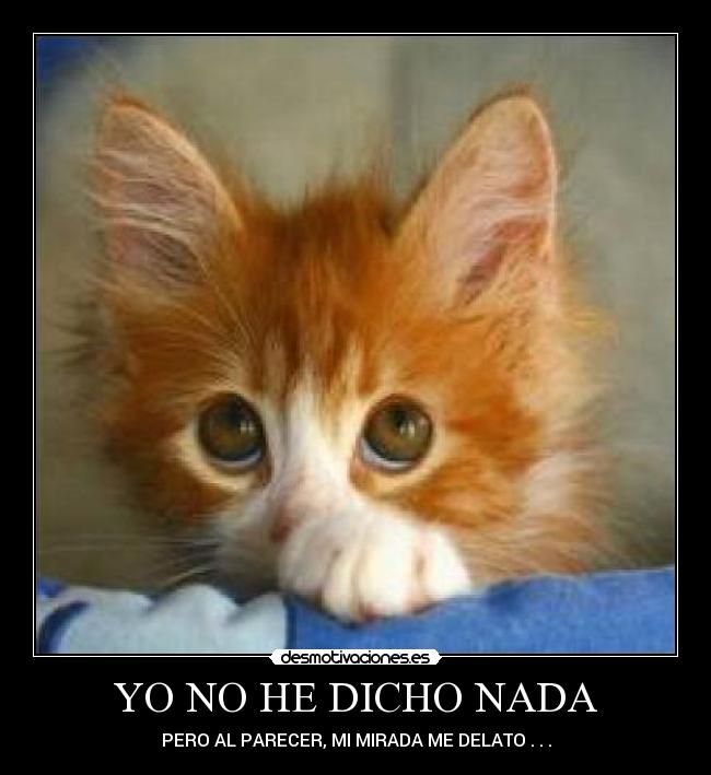 YO NO HE DICHO NADA -
