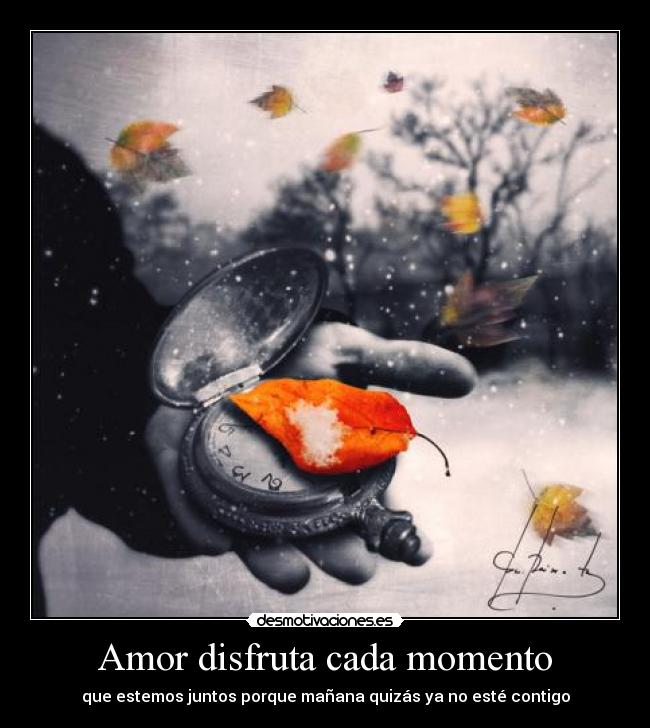 Amor disfruta cada momento -