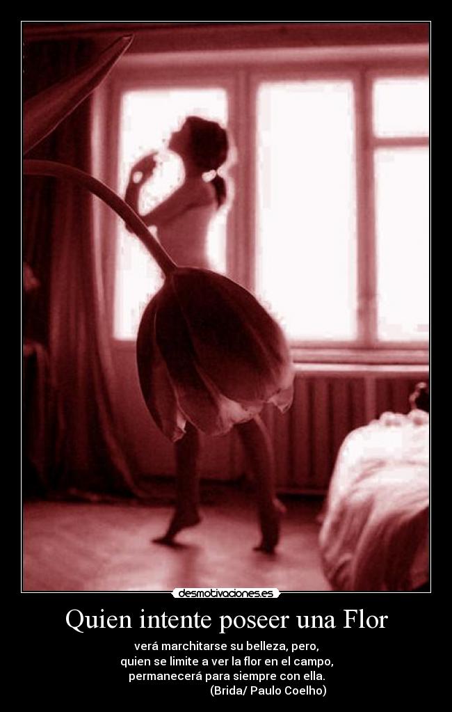Quien intente poseer una Flor - verá marchitarse su belleza, pero,
quien se limite a ver la flor en el campo,
permanecerá para siempre con ella.
(Brida/ Paulo Coelho)