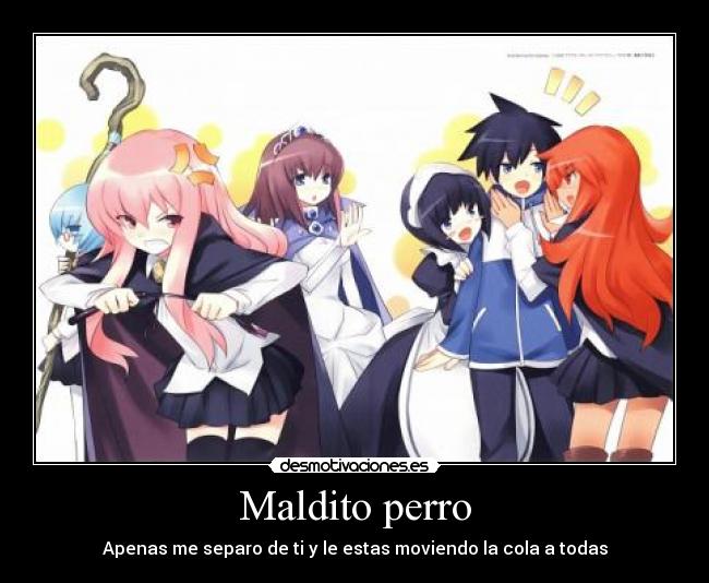 Maldito perro -