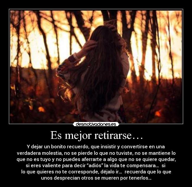 carteles pepe pendejo desmotivaciones