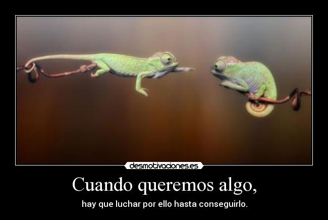Cuando queremos algo, - hay que luchar por ello hasta conseguirlo.