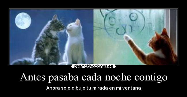 Antes pasaba cada noche contigo -
