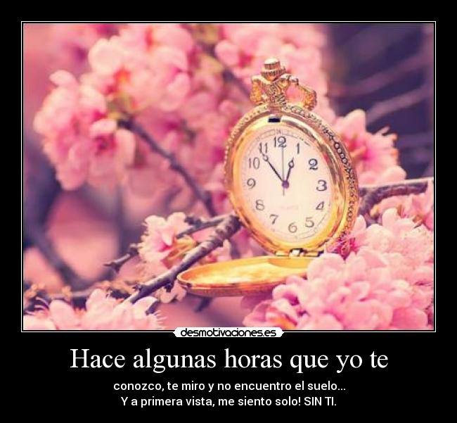 Hace algunas horas que yo te - conozco, te miro y no encuentro el suelo...
Y a primera vista, me siento solo! SIN TI.