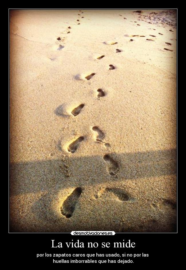 carteles vida huella desmotivaciones